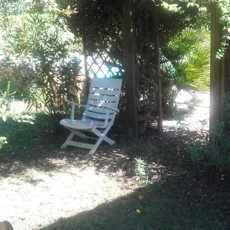 D'hotes Des Ecureuils *